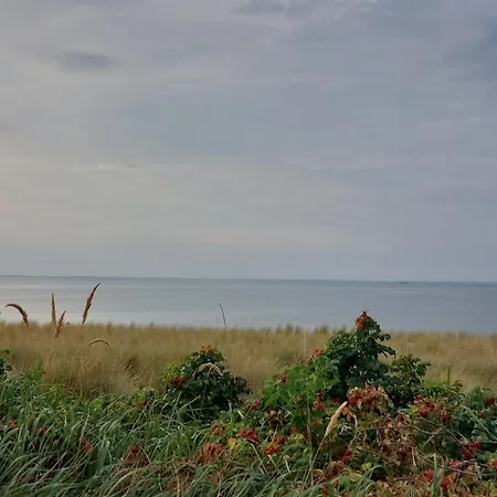 Kienast 1